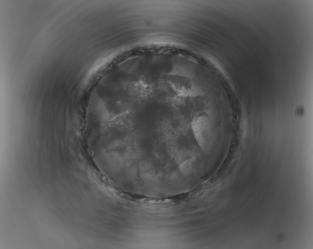 X0000116790823200912181251