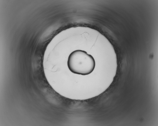X0000116790824200912181251