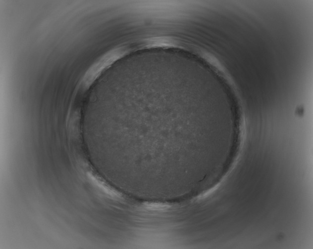 X0000116790825200912181251