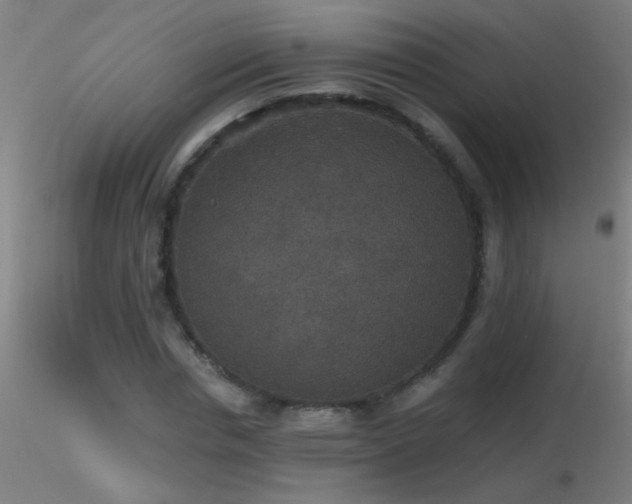 X0000116790826200912181251