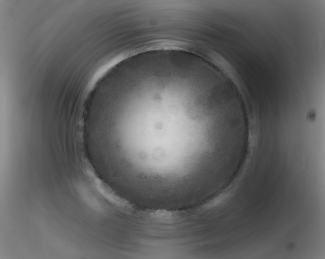 X0000116790827200912181251