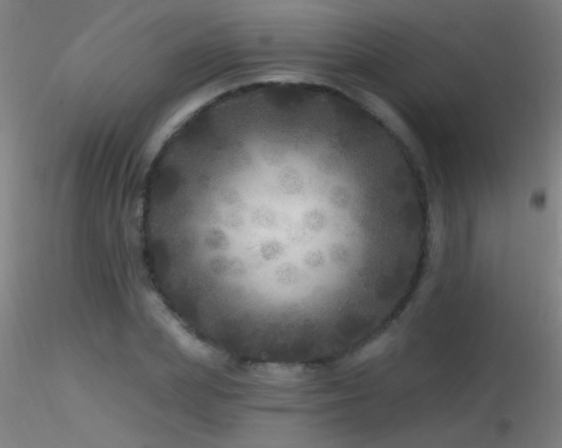 X0000116790831200912181251