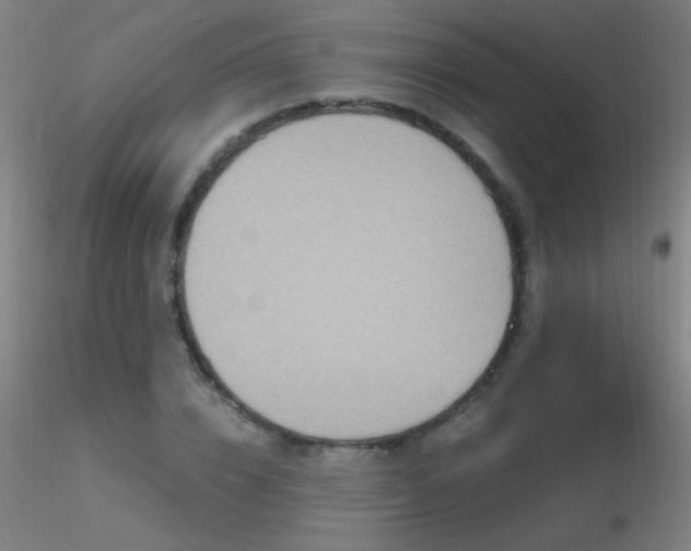 X0000116790832200912181252