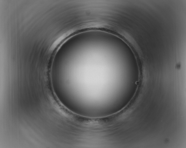 X0000116790834200912181252