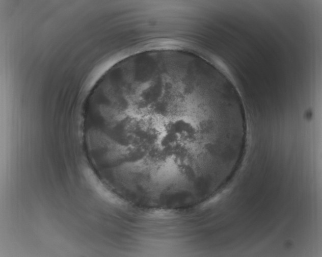 X0000116790835200912181252