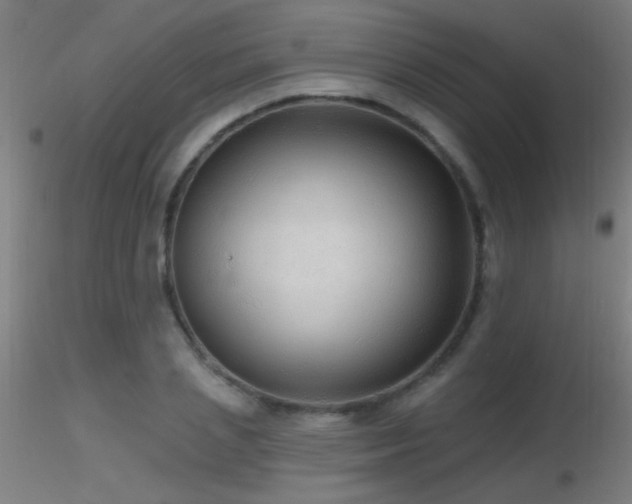X0000116790837200912181252