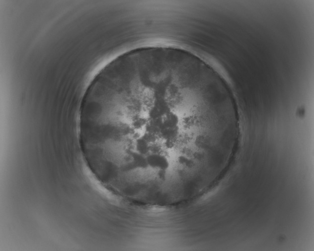 X0000116790839200912181252