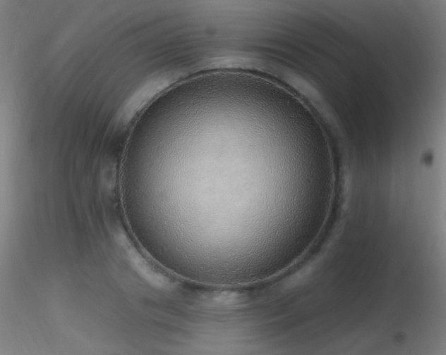 X0000116790841200912181252