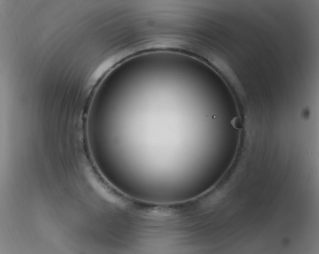 X0000116790842200912181252