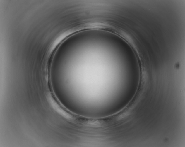 X0000116790843200912181252