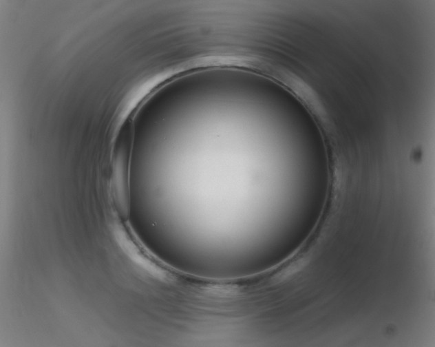 X0000116790844200912181252