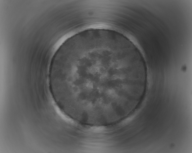 X0000116790845200912181252