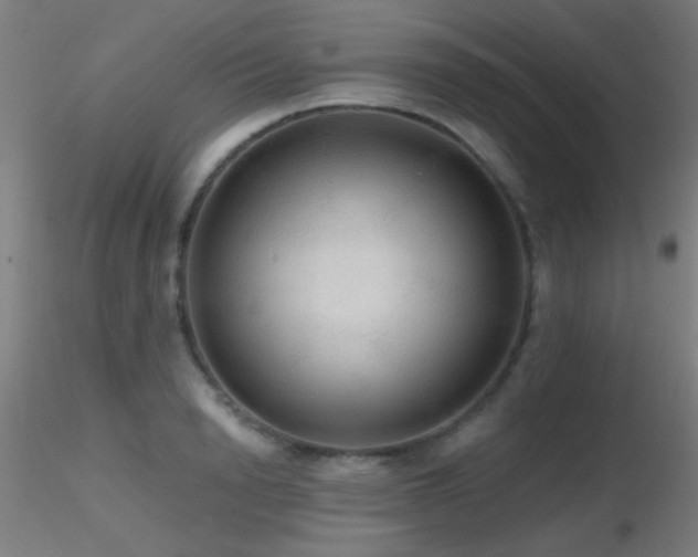 X0000116790846200912181252