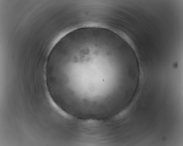X0000116790847200912181252