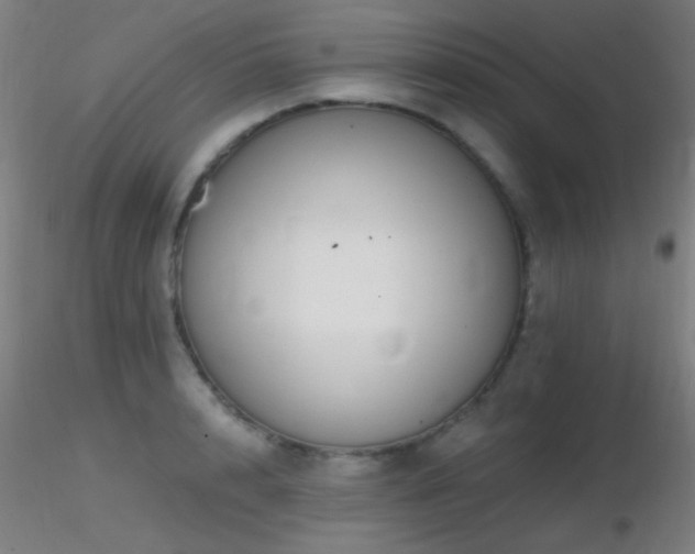 X0000116790848200912181252