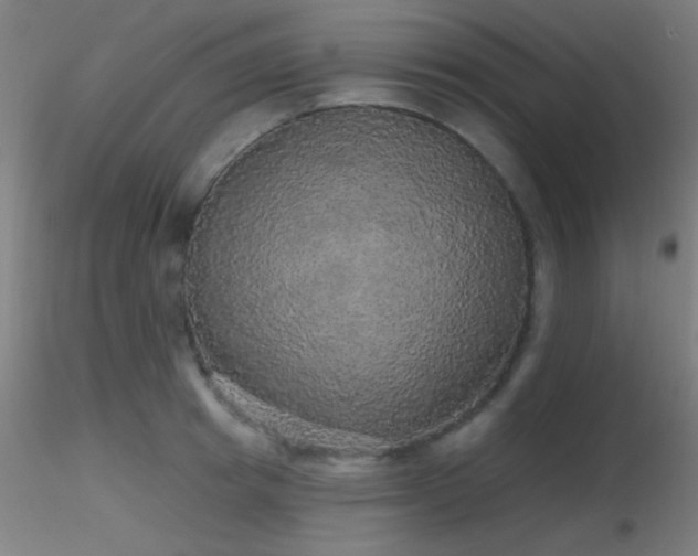 X0000116790849200912181252