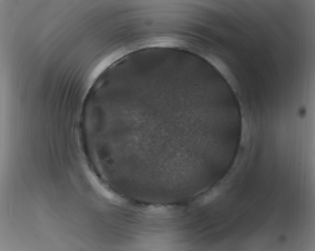 X0000116790850200912181252