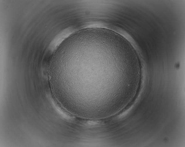 X0000116790857200912181252