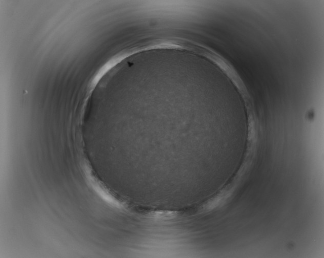 X0000116790858200912181252