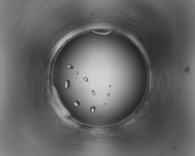 X0000116790861200912181252