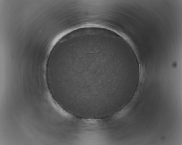 X0000116790862200912181252