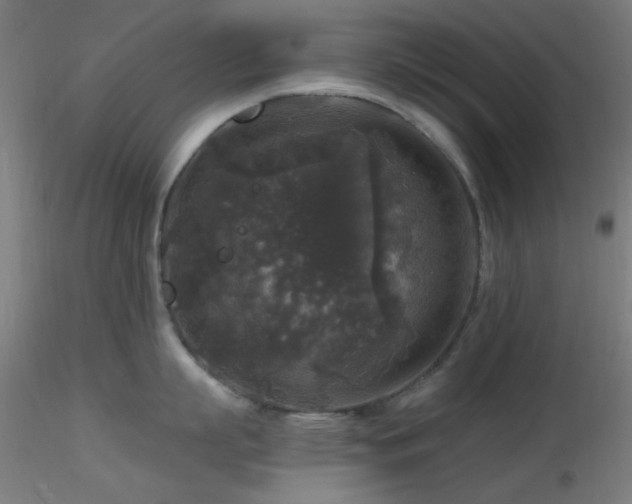X0000116790863200912181252