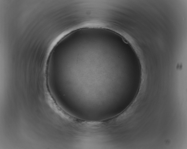 X0000116790864200912181252