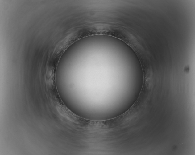 X0000116790866200912181251