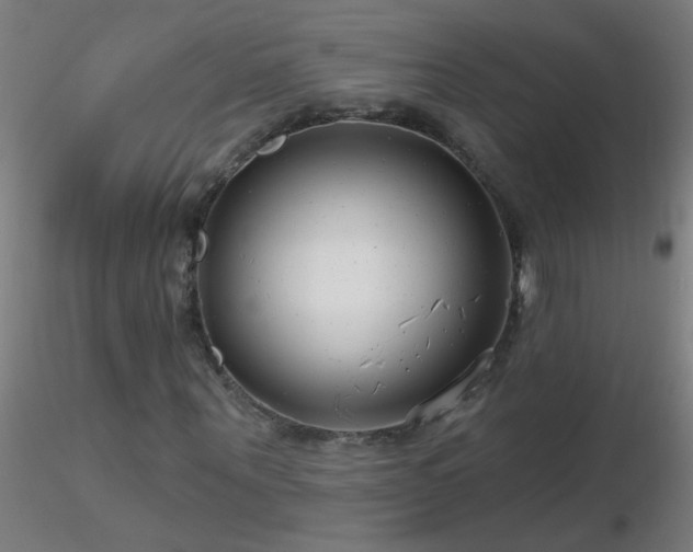 X0000116790867200912181251