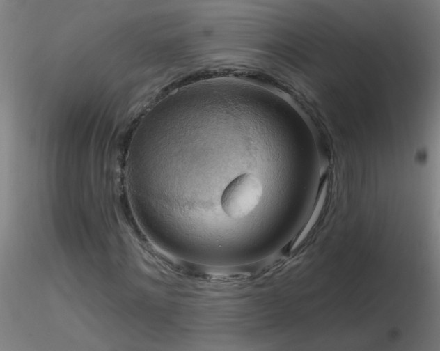 X0000116790868200912181251