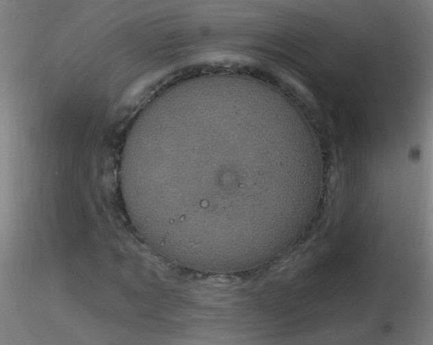 X0000116790869200912181251