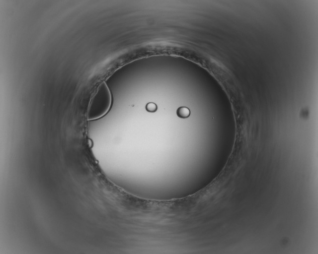 X0000116790870200912181251