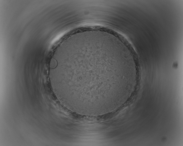 X0000116790871200912181251
