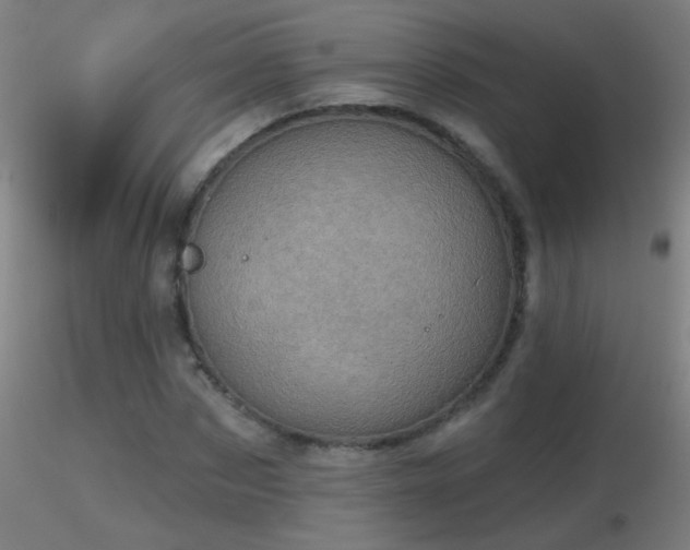 X0000116790873200912181251