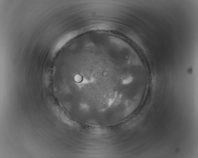 X0000116790874200912181251
