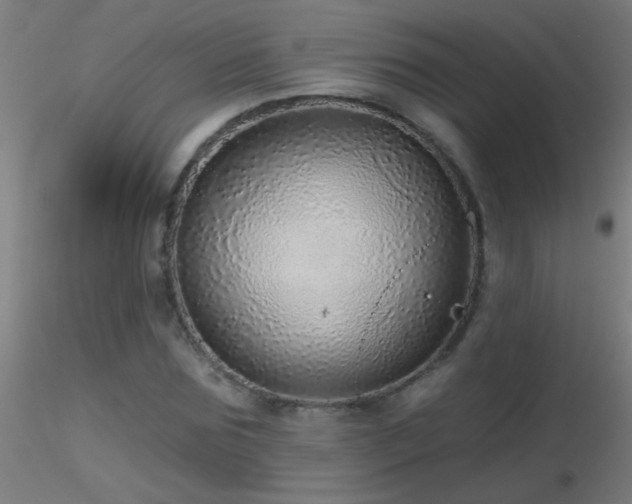 X0000116790875200912181251