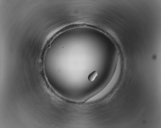 X0000116790876200912181251
