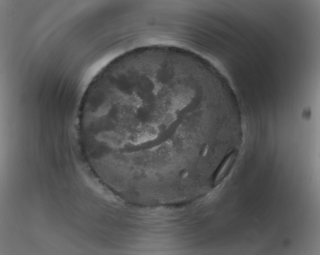 X0000116790879200912181251