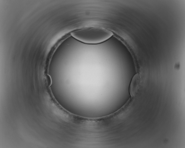 X0000116790880200912181251