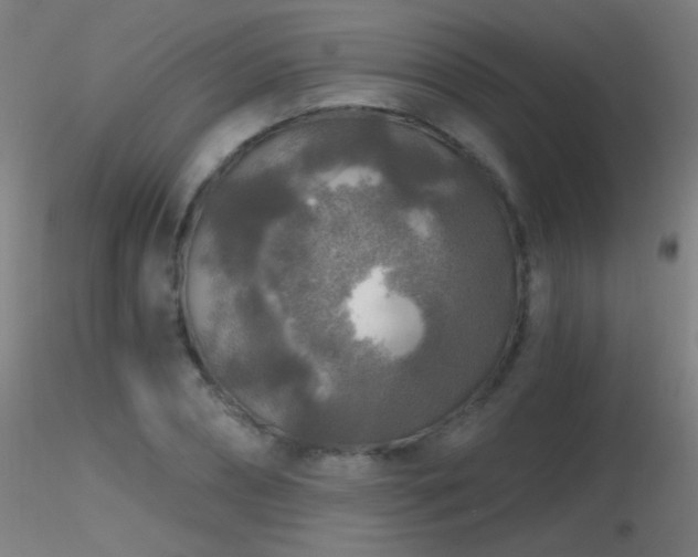 X0000116790882200912181251