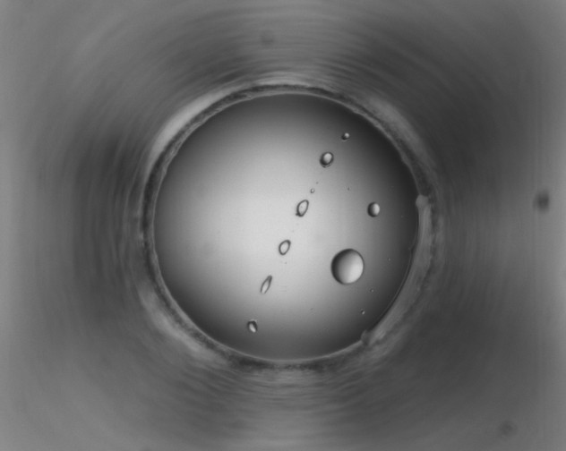 X0000116790884200912181251