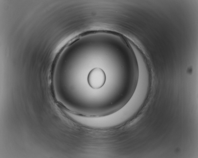 X0000116790885200912181251