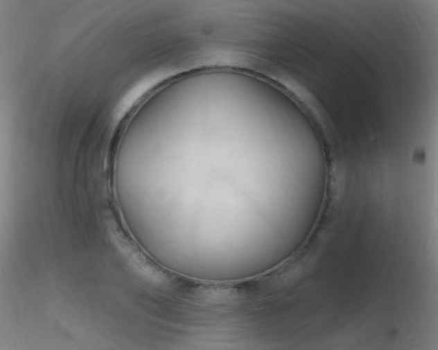 X0000116790886200912181251