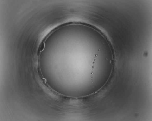 X0000116790887200912181251