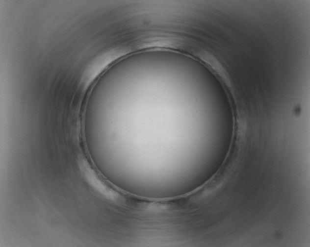 X0000116790890200912181251