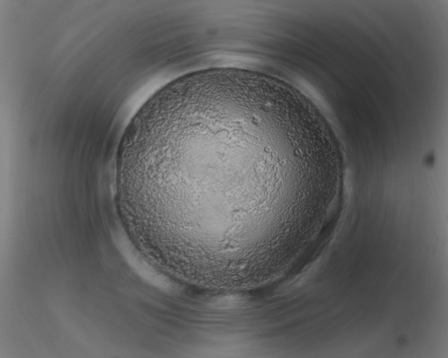 X0000116790891200912181251