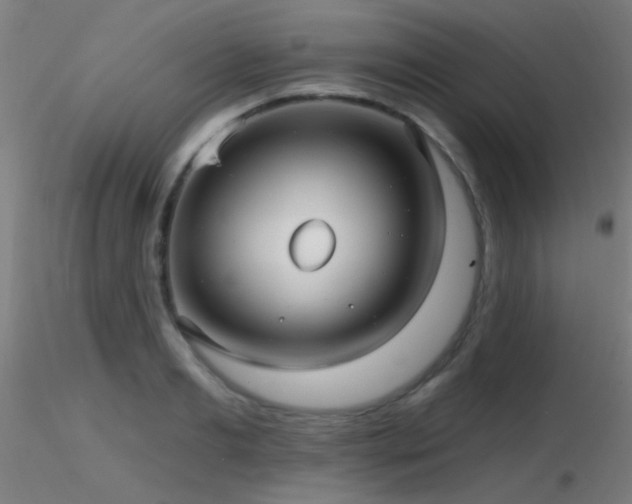 X0000116790893200912181251