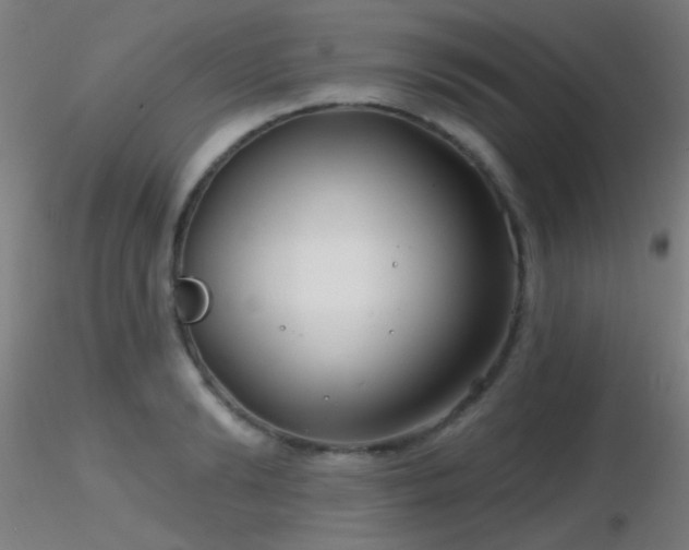 X0000116790894200912181251