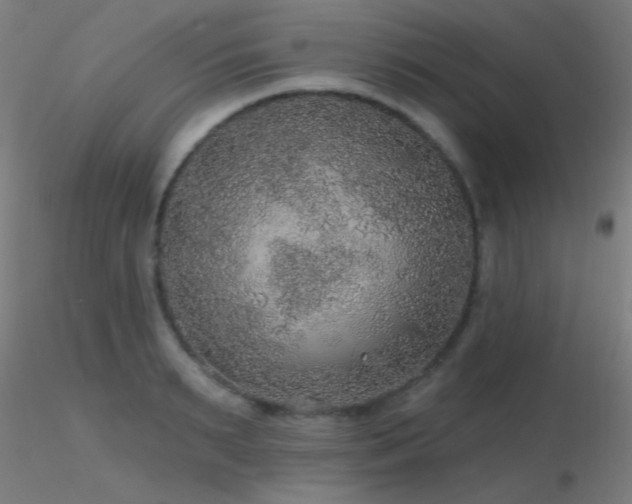 X0000116790895200912181251