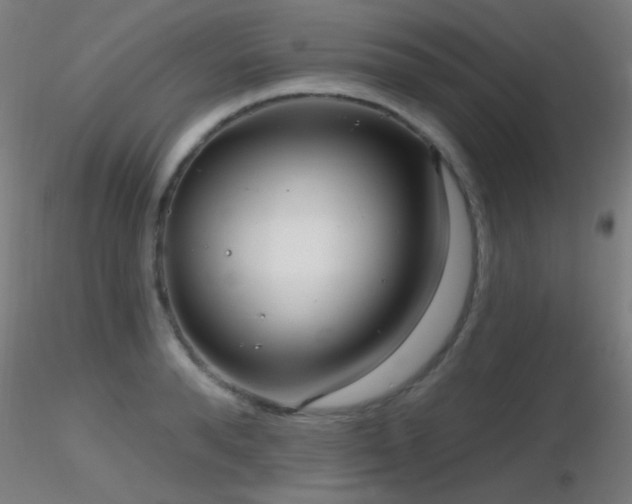 X0000116790896200912181251